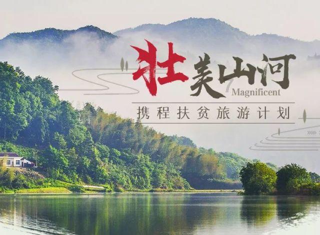敏捷的白球